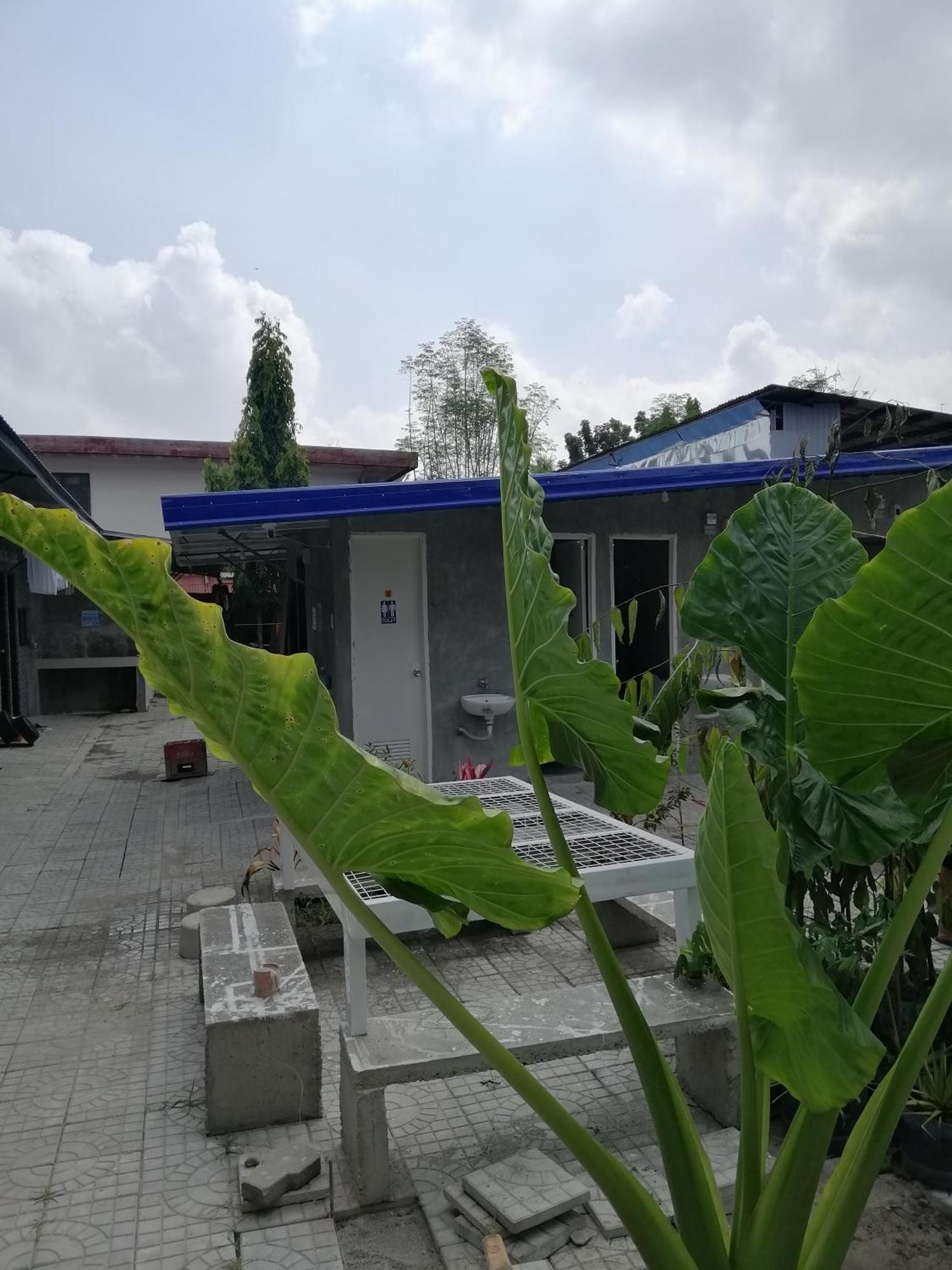 打拉 Katrina'S Dorm旅舍 外观 照片
